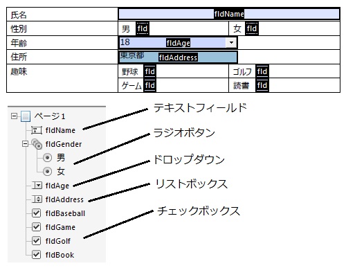 AcrobatFormInput_02