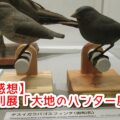 【感想】特別展「大地のハンター展」に行ってきたよ(2)