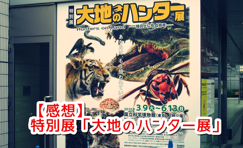 感想 特別展 大地のハンター展 に行ってきたよ 初心者備忘録 感想 特別展 大地のハンター展 に行ってきたよ 初心者備忘録