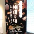 【感想】特別展「深海2017」に行ってきたよ(6)